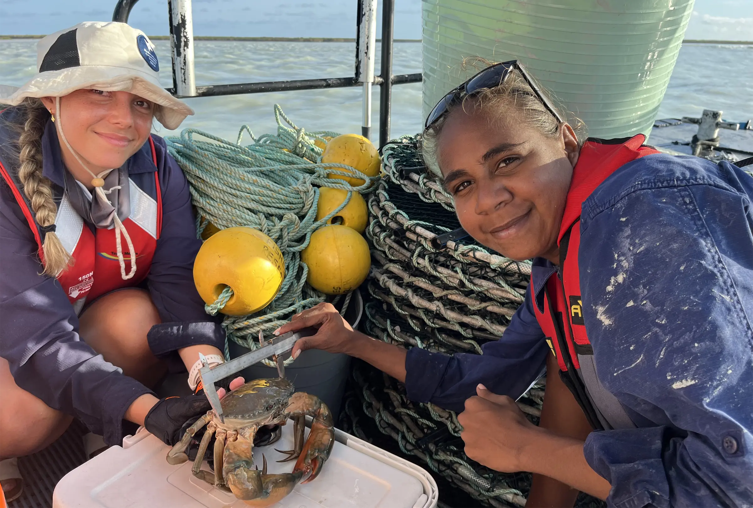 Measuring crab